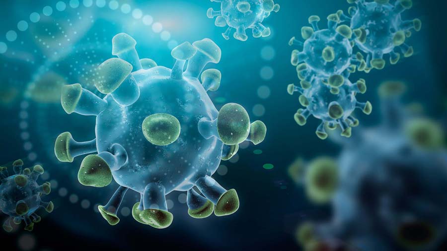 COVID-19 Rapid Antigen Test